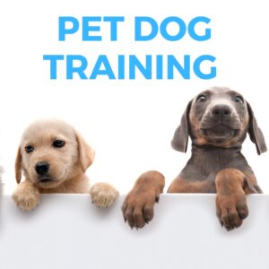 Pet Dog Training Courses