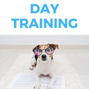 Day Training