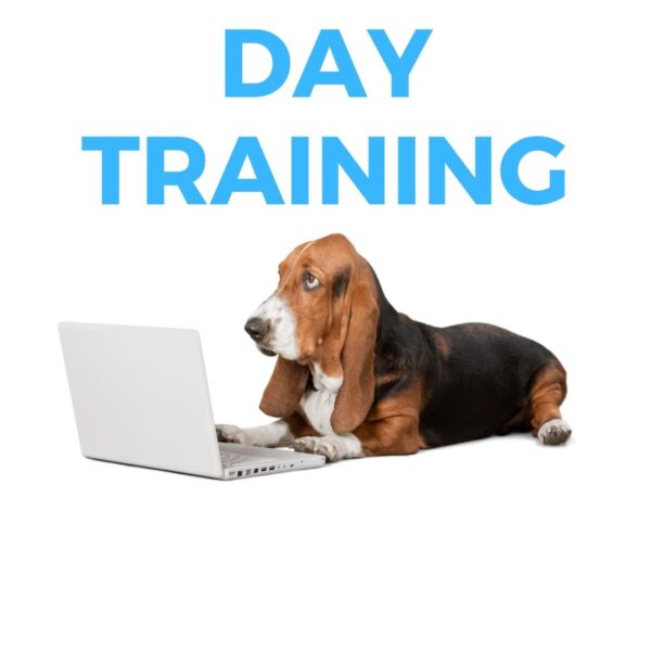 Day Training for dogs in Norfolk