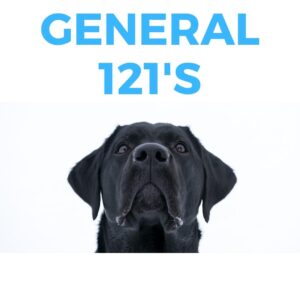 121 Dog Training Sessions