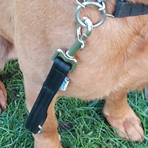 Breckland Dog Training Equipment