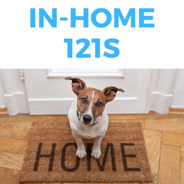 In home 121s from Breckland DOg Training